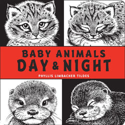 Baby Animals Day & Night libro Inglese Copertina rigida 10 pagine