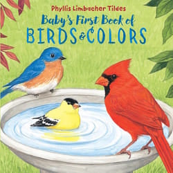 Baby’s First Book of Birds & Colors libro Inglese Copertina rigida 18 pagine