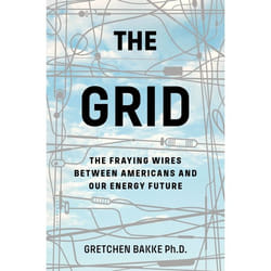 The Grid (The Fraying Wires Between Americans and Our Energy Future) libro Inglese 384 pagine Libro in brossura