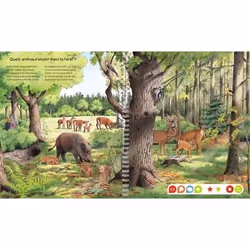 Ravensburger 9783380990055 libro Flora Francese Copertina rigida 16 pagine - Vista aggiuntiva 5