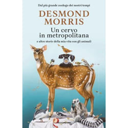 ISBN Un cervo in metropolitana libro ITA 640 pagine