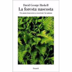 ISBN La foresta nascosta, ITA, 292 pagine