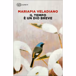 ISBN Il tempo è un dio breve, ITA, 232 pagine