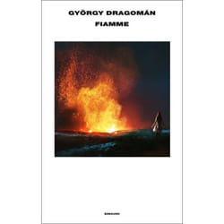 ISBN Fiamme libro ITA 384 pagine