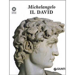 ISBN Michelangelo. Il David