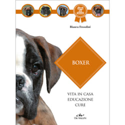 ISBN Boxer