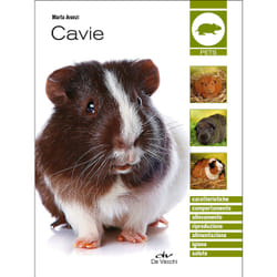 ISBN Cavie