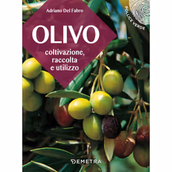 ISBN L'olivo, ITA, Libro in brossura, 128 pagine