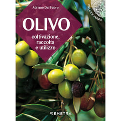 ISBN L'olivo