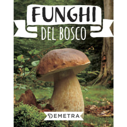 ISBN Funghi del bosco