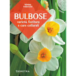 ISBN Bulbose
