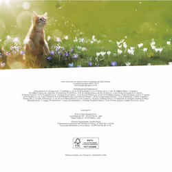 ISBN Gatti come noi - Calendario 2020