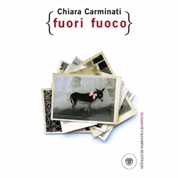 ISBN Fuori fuoco, ITA, Copertina rigida, 208 pagine