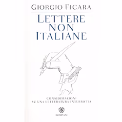 ISBN Lettere non italiane. Considerazioni su una letteratura interrotta, ITA, Libro in brossura, 340 pagine