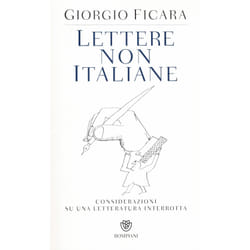 ISBN Lettere non italiane. Considerazioni su una letteratura interrotta