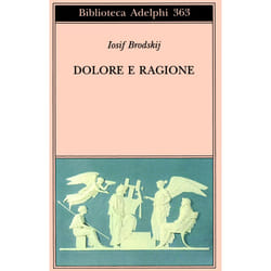 ISBN Dolore e ragione libro Romanzo letterario ITA 267 pagine
