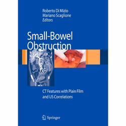 ISBN 9788847006669, Inglese, Copertina rigida, 115 pagine