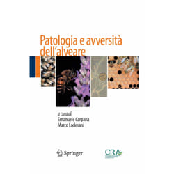 ISBN 9788847056497 libro Inglese Copertina rigida 410 pagine