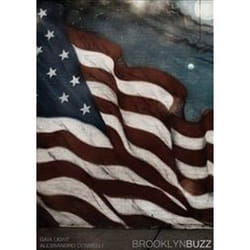ISBN Brooklyn Buzz libro Fotografia Inglese 192 pagine