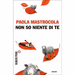 ISBN Non so niente di te, ITA, 344 pagine