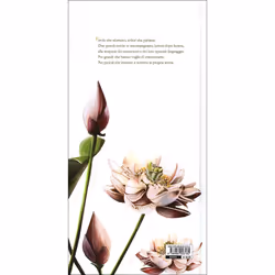 ISBN L'alfabeto dei sentimenti