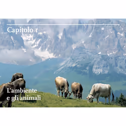 ISBN 9788884995889 libro Cibi & bevande ITA Libro in brossura 384 pagine - Vista aggiuntiva 2