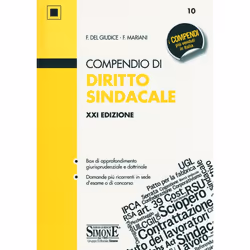 ISBN 9788891422118, Legge, ITA, Libro in brossura, 304 pagine